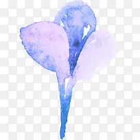 漂浮花