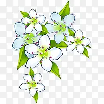 白色手绘花朵