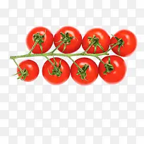 实物红色蔬果小番茄图片素材