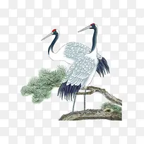 鹤落松树