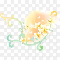 黄色的花朵
