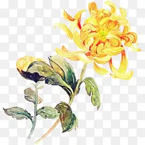 合成手绘鲜艳的黄色菊花