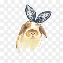 蕾丝蝴蝶结兔兔图片素材