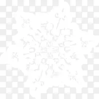 美丽漂浮雪花