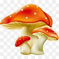 蘑菇矢量