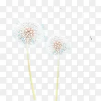 白色艺术蒲公英造型