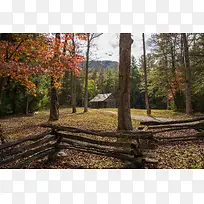 森林小屋篱笆秋天