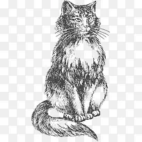 矢量素描猫咪