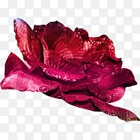 童话里的花朵