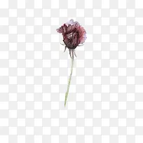 暗黑花卉