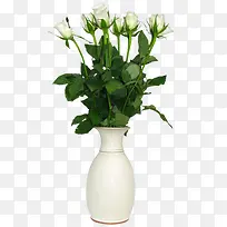 一盆鲜花