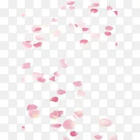 漂浮的粉色花瓣
