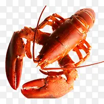 新鲜龙虾刺身
