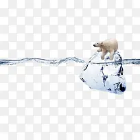水上趴在冰块上的北极熊