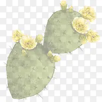 手绘开花仙人掌海报