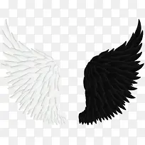 黑白对比翅膀