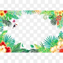 夏季花朵鸟类