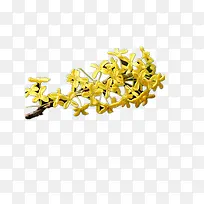 桂花