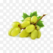 葡萄成熟绿色新鲜