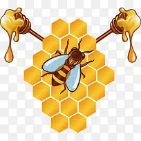 蜂窝蜂蜜矢量图