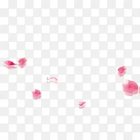 粉色花瓣透明背景