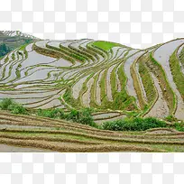 云南梯田