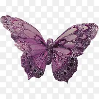 紫蝴蝶png素材