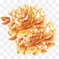 唯美精美黄色牡丹花花朵