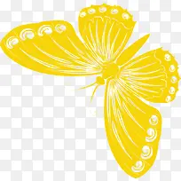 唯美黄色蝴蝶