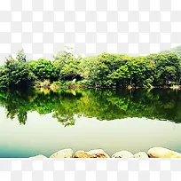 厦门水边绿树风景