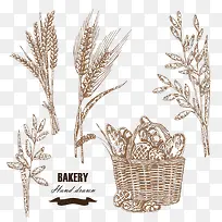 小麦与面包素描插画图