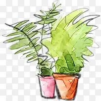 清新手绘花盆