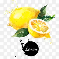 油画柠檬水果食物