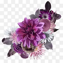 大气紫色花朵