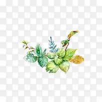 手绘花叶