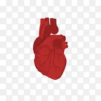 简约卡通心脏血管矢量图