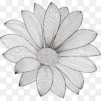 花纹设计