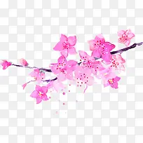 粉色梅花学习园地展板