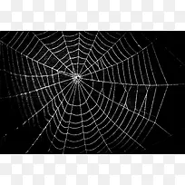 蜘蛛网时尚背景
