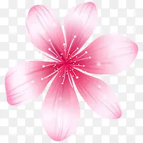 一朵精美的粉色小花