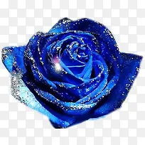 蓝色钻石花朵