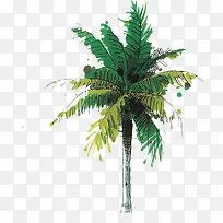 绿色热带景观椰树造型