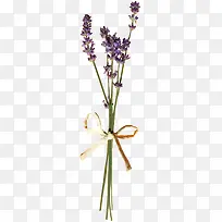 蝴蝶结花束