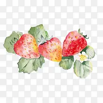 手绘新鲜草莓