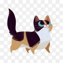 猫咪