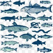 手绘风格海洋鱼类