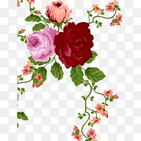 彩色中式花朵装饰玫瑰