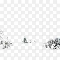雪地中的树木