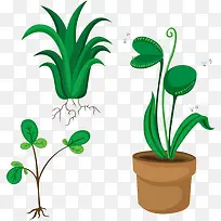 绿色的植物