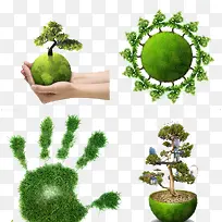 绿色植物